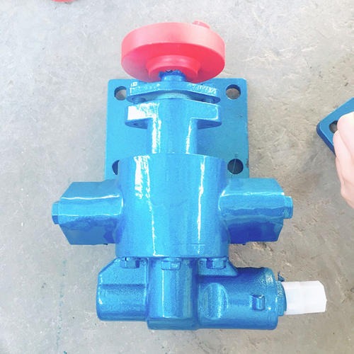 齿轮泵 鸿海齿轮油泵 实体厂家 润滑油泵 齿轮式输油泵 重油泵 现货供应