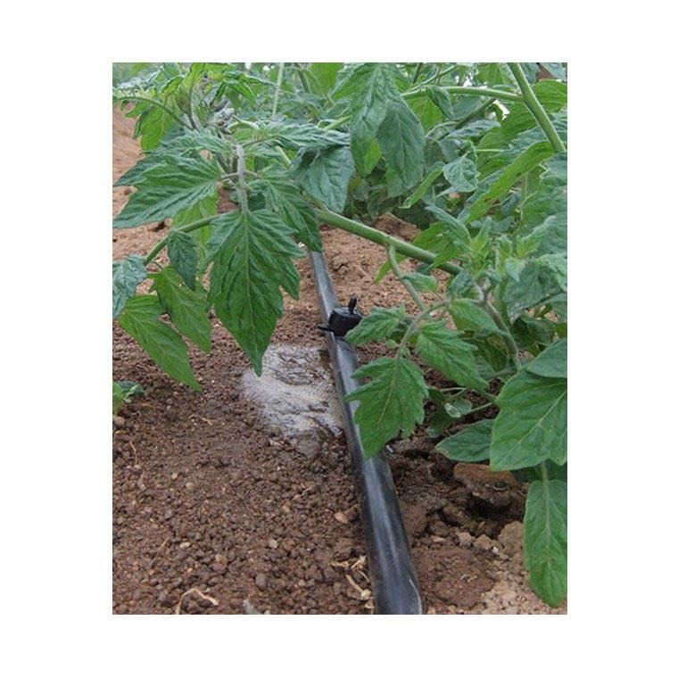 大棚西红柿水肥一体化滴灌设计 西红柿水肥一体化种植技术厂家图片