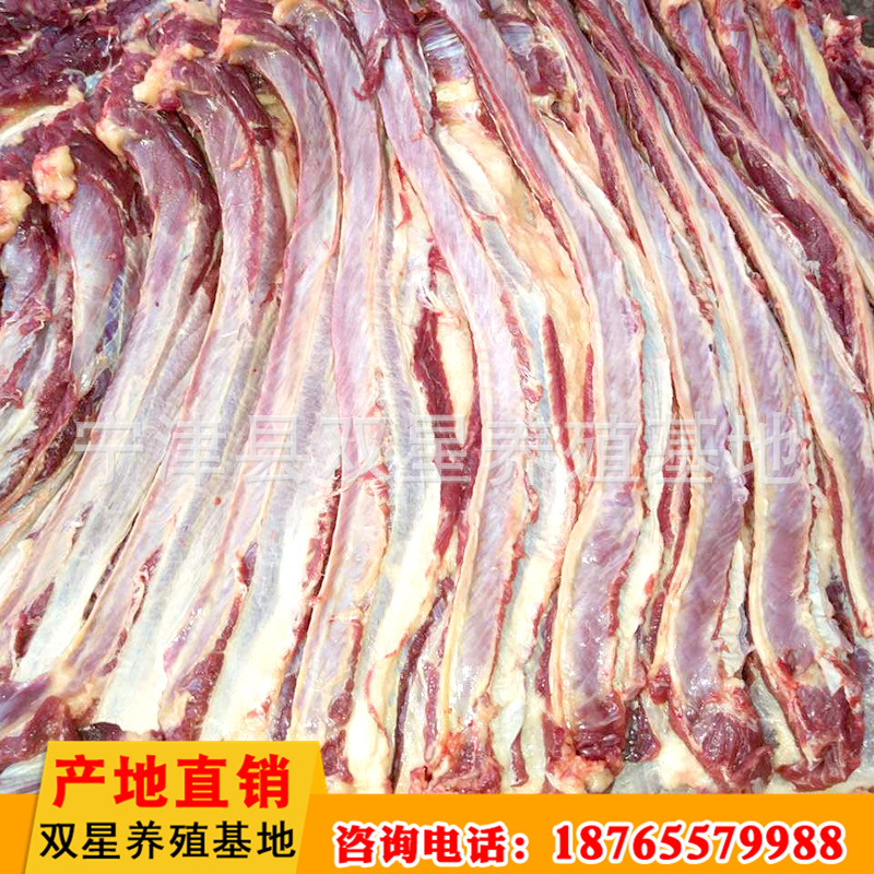 直销鲜马肉 新鲜营养肋条肉 低温储藏运输肉质鲜美马肉批发示例图15