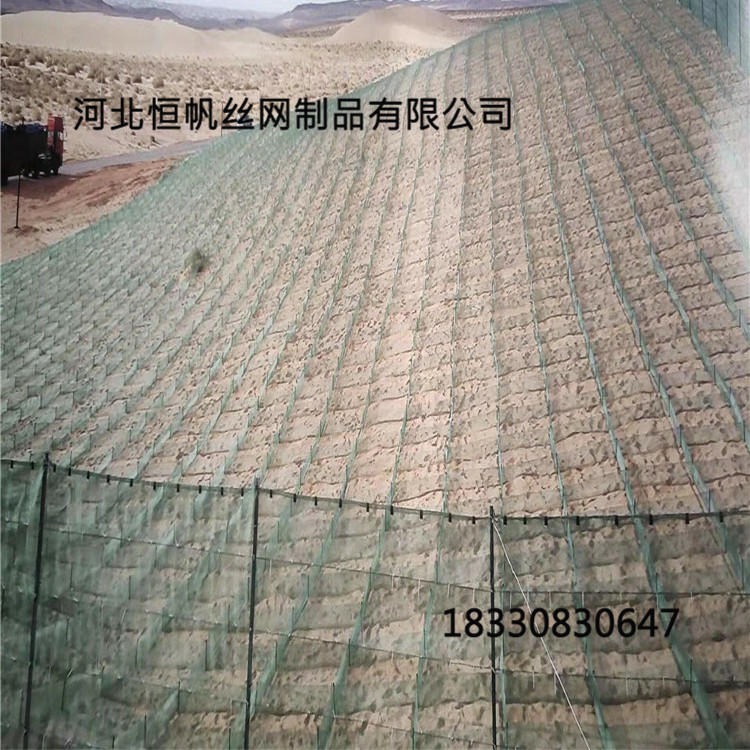沙地防护林防风阻沙网，内蒙古沙漠阻沙带防风固沙障，塑料防沙网，尼龙网沙障，阻沙网厂家图片