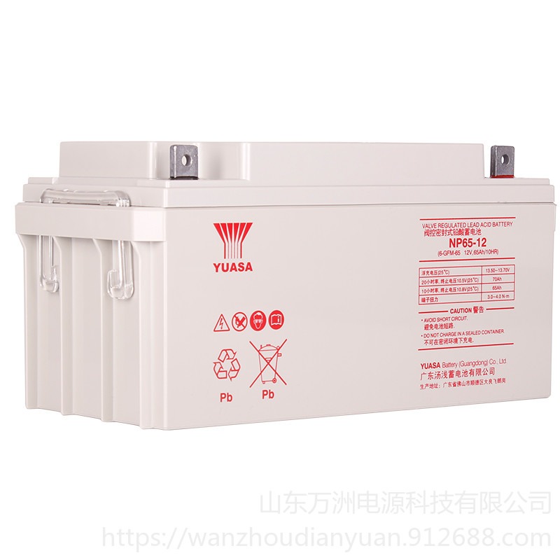 汤浅蓄电池NP65-12铅酸免维护12V65AH直流屏UPS/EPS专用 质保三年