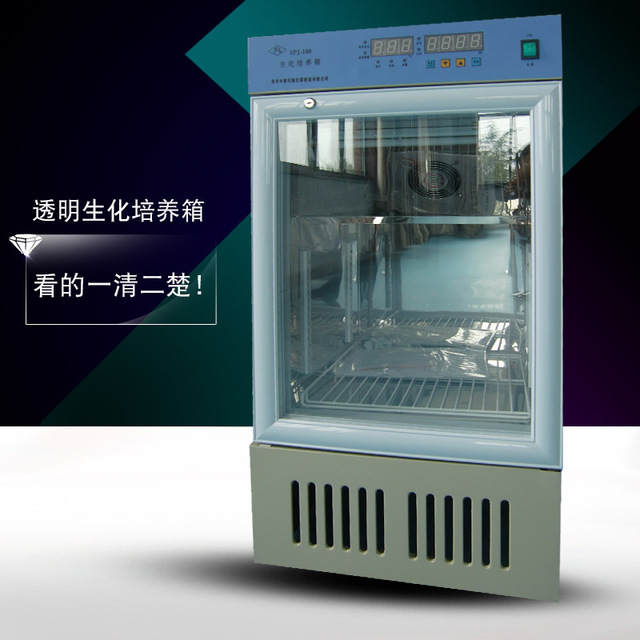GZSPX-80智能生化培养箱 不锈钢生化培养箱 电热恒温培养箱图片