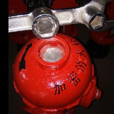 兴龙牌防盗加密消火栓SS100/65JM 市政防盗消防栓厂家货源图片