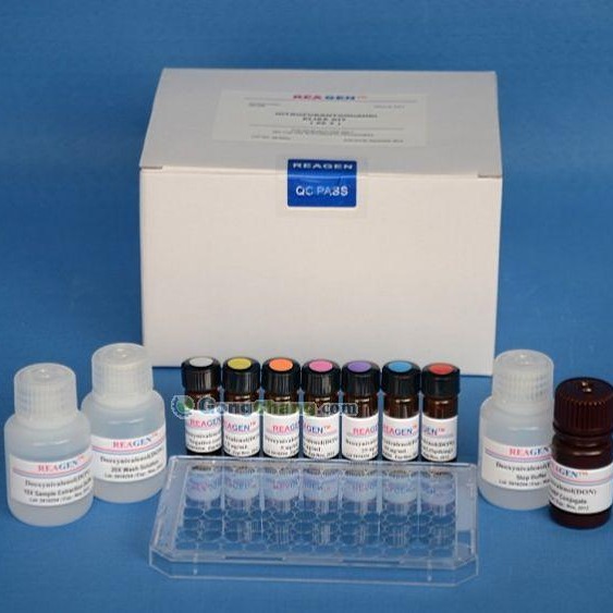 人霍乱毒素B亚单位试剂盒 CTB试剂盒 霍乱毒素B亚单位ELISA试剂盒 厂家直销