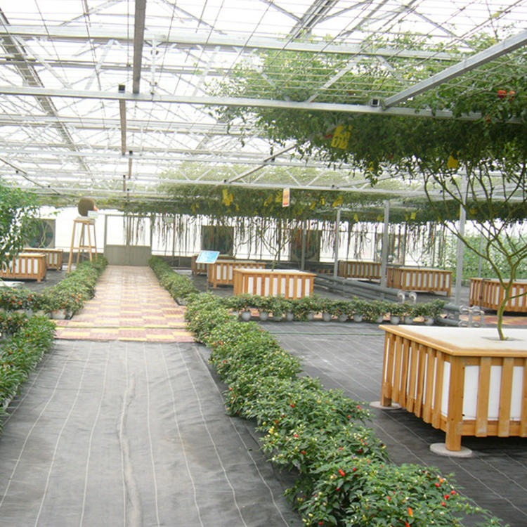 博伟 阳光板温室 生态温室 玻璃温室 农业观光智能温室 欢迎选购