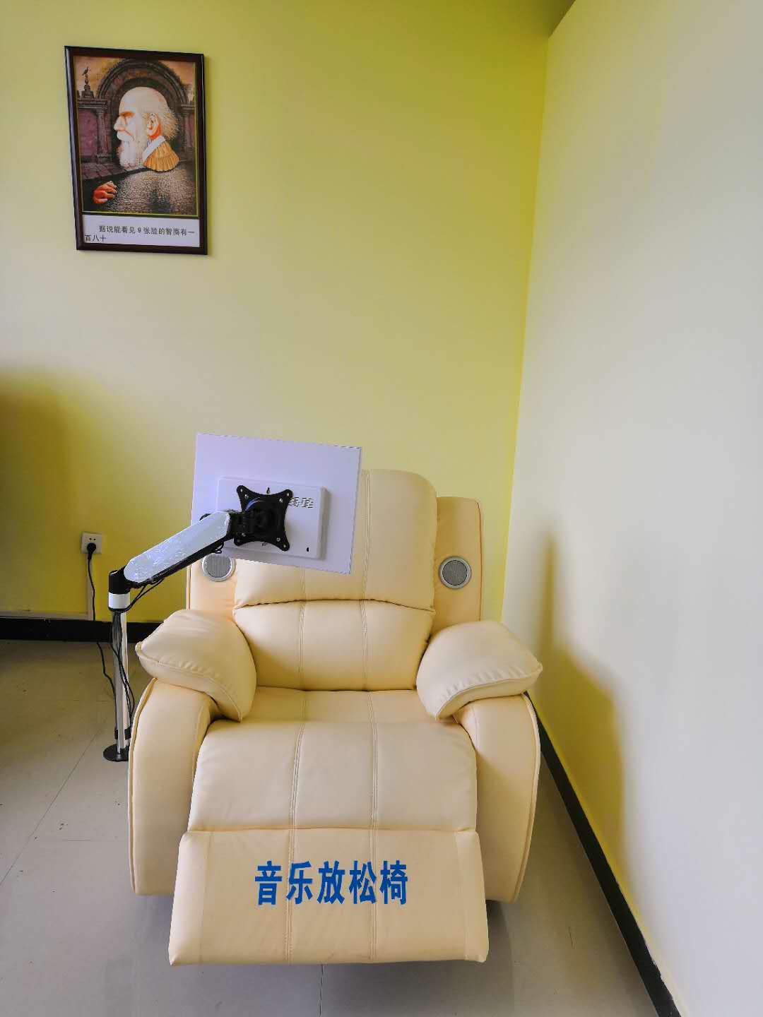普才 智能解压放松椅 放松舱 生物反馈放松椅 真皮沙发图片