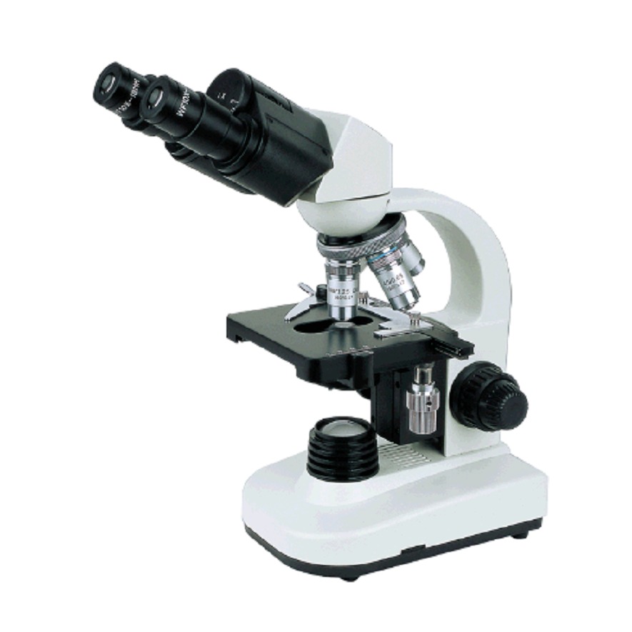 LW40 系列显微镜 国产显微镜 德州 淄博