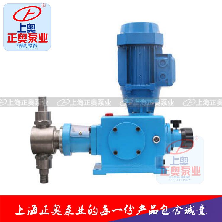 上海正奥DZ-X型柱塞式计量泵 不锈钢往复计量泵