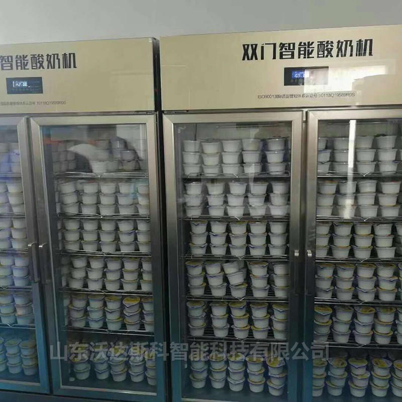 酸奶制作工艺 商用酸奶机设备 固体酸奶发酵设备 双开门酸奶机