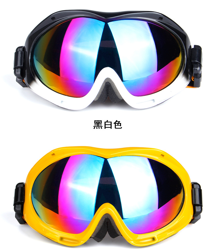 厂家供应热销H017男女款双层防雾双色球面镜片滑雪眼镜示例图13