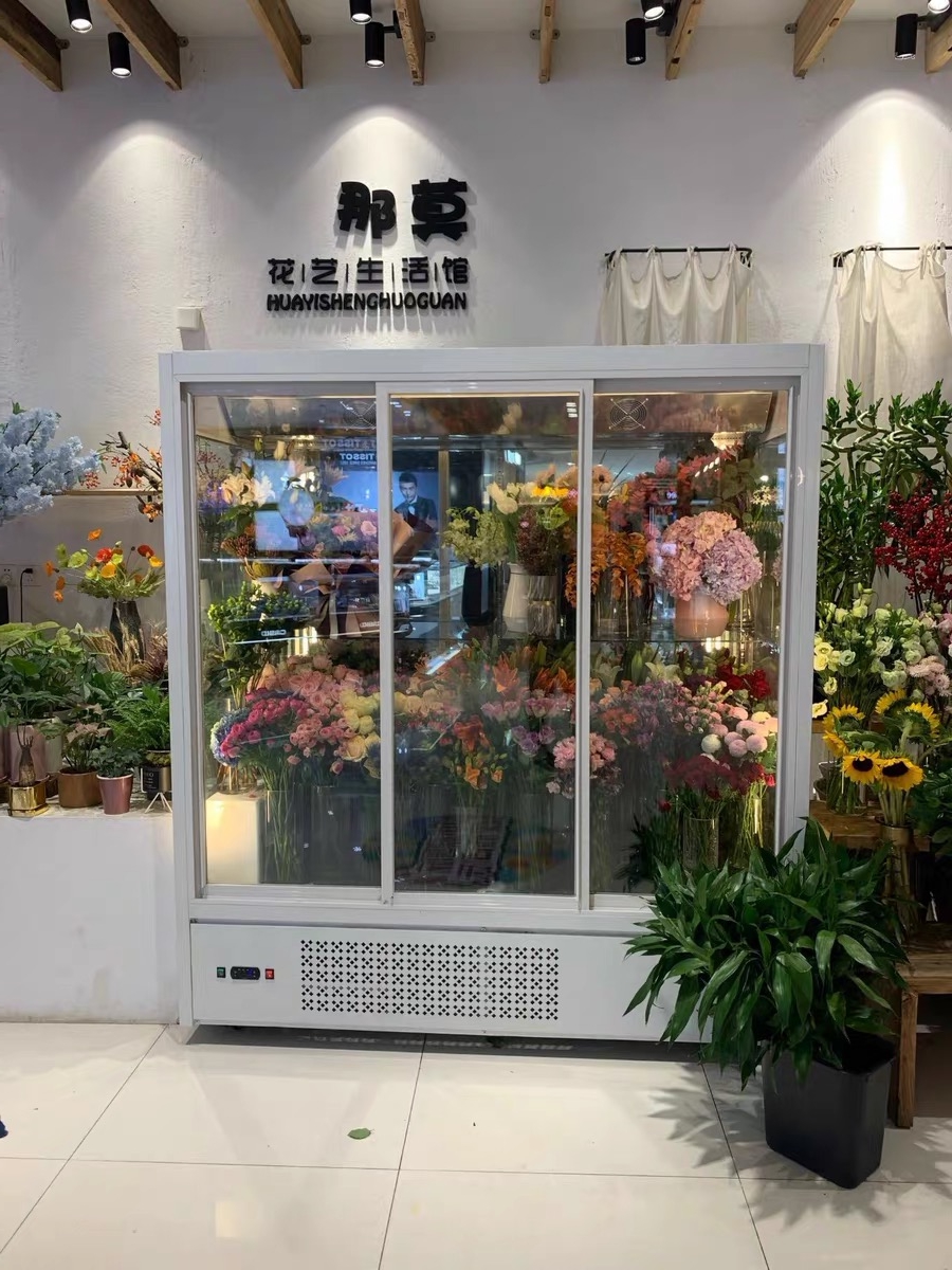 杭州立式风冷直冷冰柜风冷陈列商用鲜花柜花店玻璃冰柜植物柜陈列冷藏展示柜