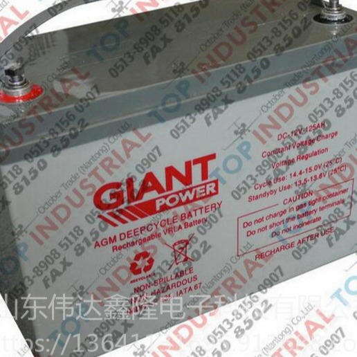 GIANT蓄电池DC-12V100AH尺寸规格GIANT蓄电池代理商