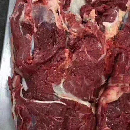 厂家直供新疆驴肉 冻驴肉 现宰速冻鲜驴肉 质量保证味道鲜美