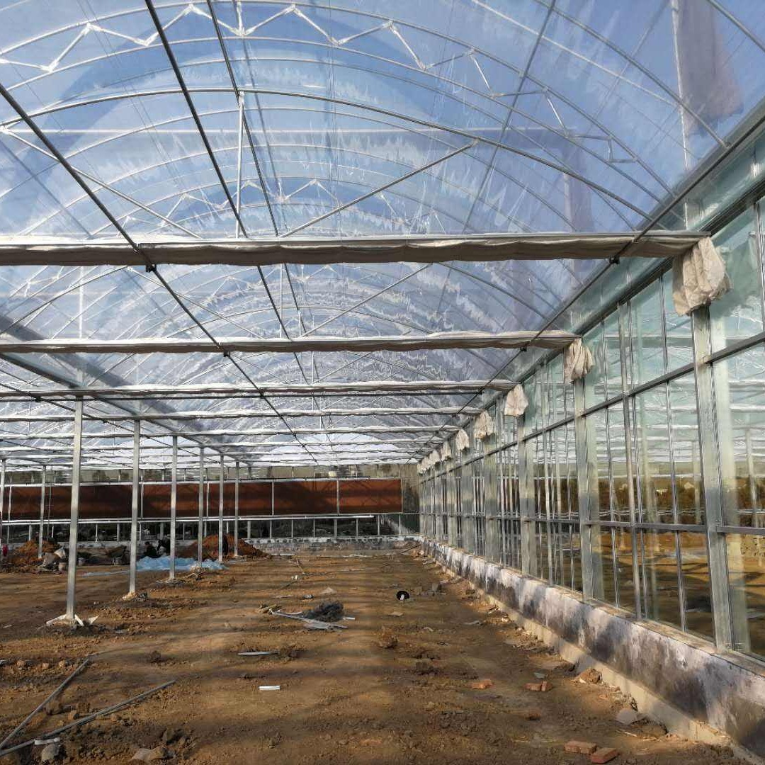 智能玻璃大棚  承建连栋温室  玻璃温室建设  连体玻璃温室  博伟 BW