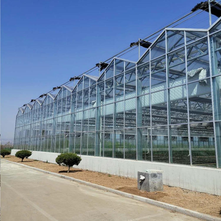 建达 JD 玻璃温室厂家 玻璃大棚造价 智能玻璃温室大棚 承接各种温室大棚配件建设