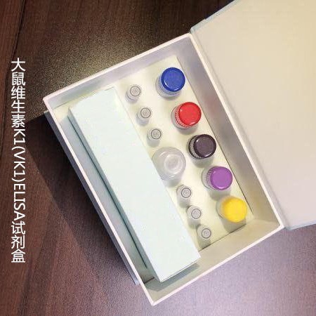 大鼠维生素K1(VK1)ELISA试剂盒  WSJH20521B  48T 维克奇
