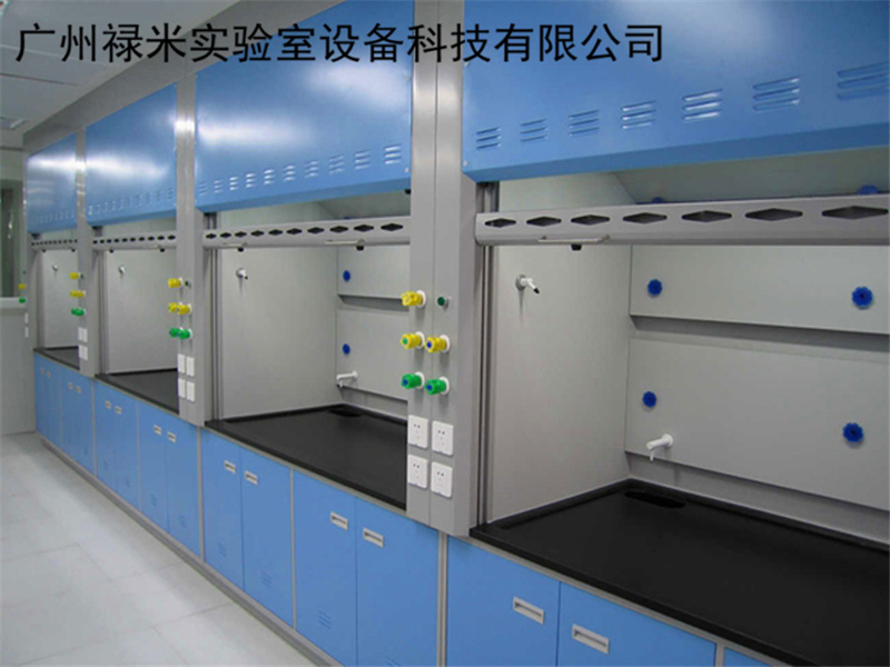 禄米实验室设备全钢通风柜图片案例展示 为了保护使用者的安全LUMI-TF51Q