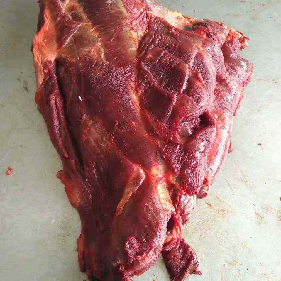 自有工厂加工直销进口蒙古马肉马腿肉肉质鲜嫩
