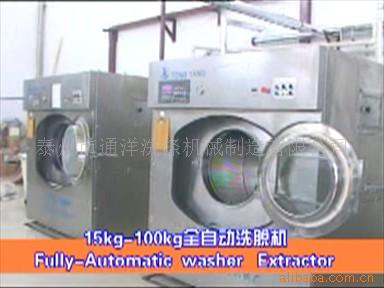 全自动水洗机 洗脱机 干衣机 熨平机 烫台 洗衣机图片