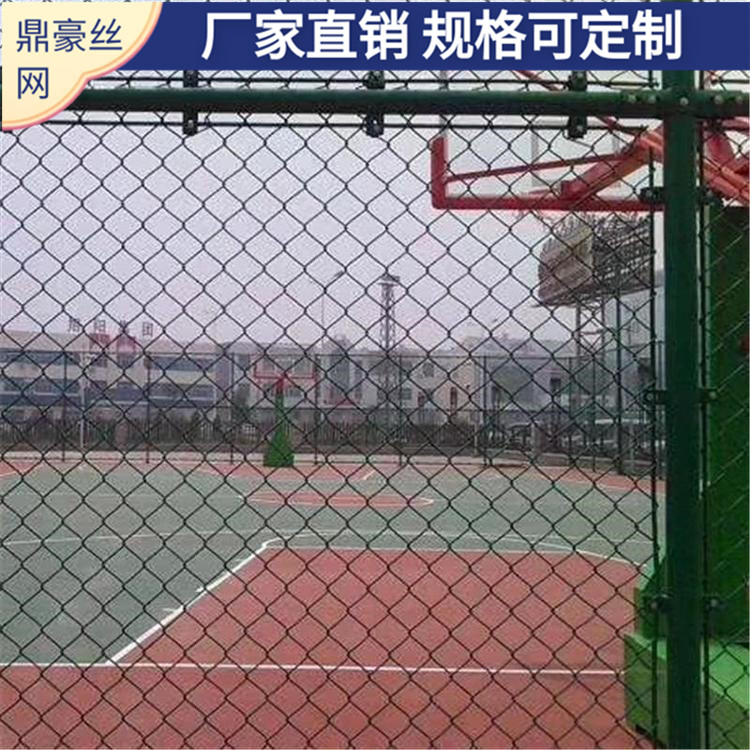 网球场围网供货厂家 网球场围网施工费 网球场塑料围网 鼎豪丝网