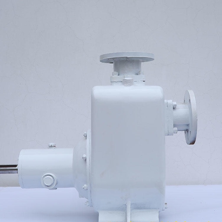 河北远东泵业 汽柴油装车泵  80CYZ-55自吸油泵   开式叶轮自吸油泵图片