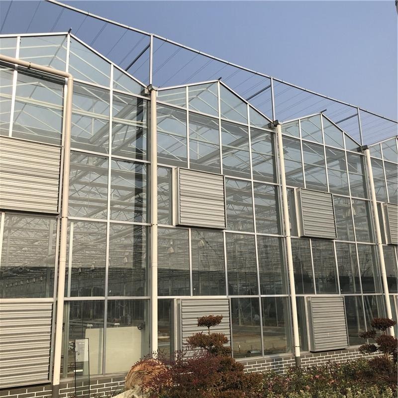 玻璃温室建设 玻璃温室大棚 生态温室 蔬菜育苗温室 博伟