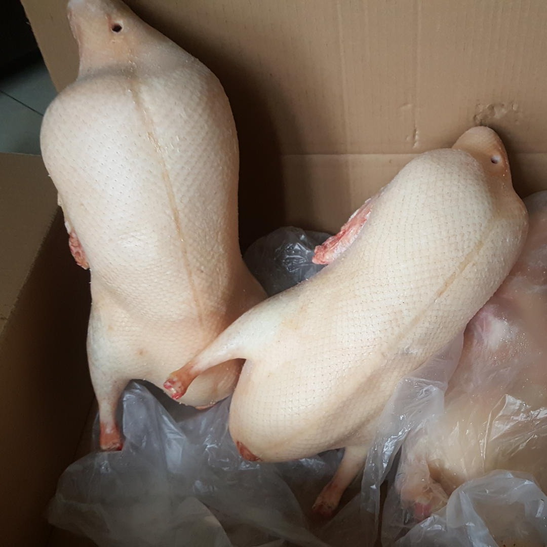 供应北京烤鸭四系鸭胚冷冻鸭坯色坯成坯及鸭副产品