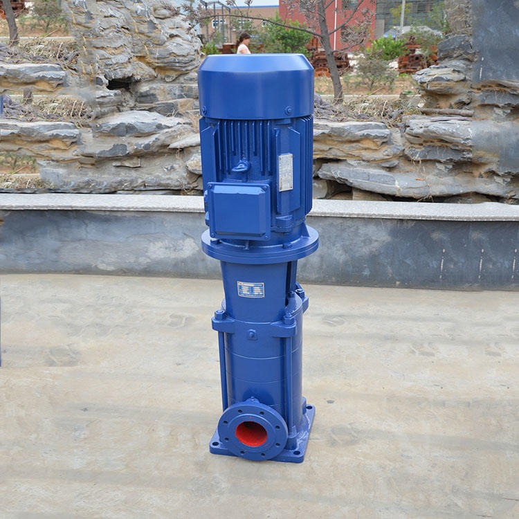 贝德全系列DL多级泵 DLP不锈钢多级泵 多级离心泵图片