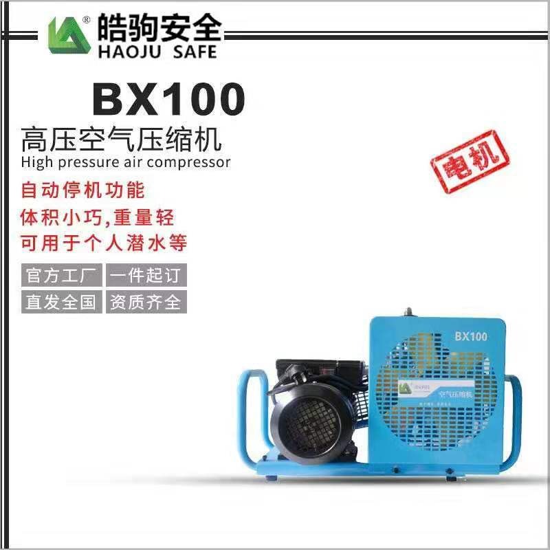 上海皓驹厂家直销 BX100意大利型高压空气充填泵 高压气瓶充气泵 正压式空气呼吸器充气泵  微型空气压缩机