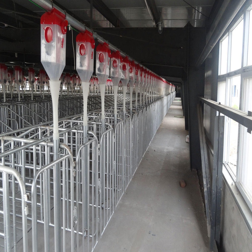 养殖猪场喂料设备 自动下料食槽 育肥猪料线 世昌畜牧图片
