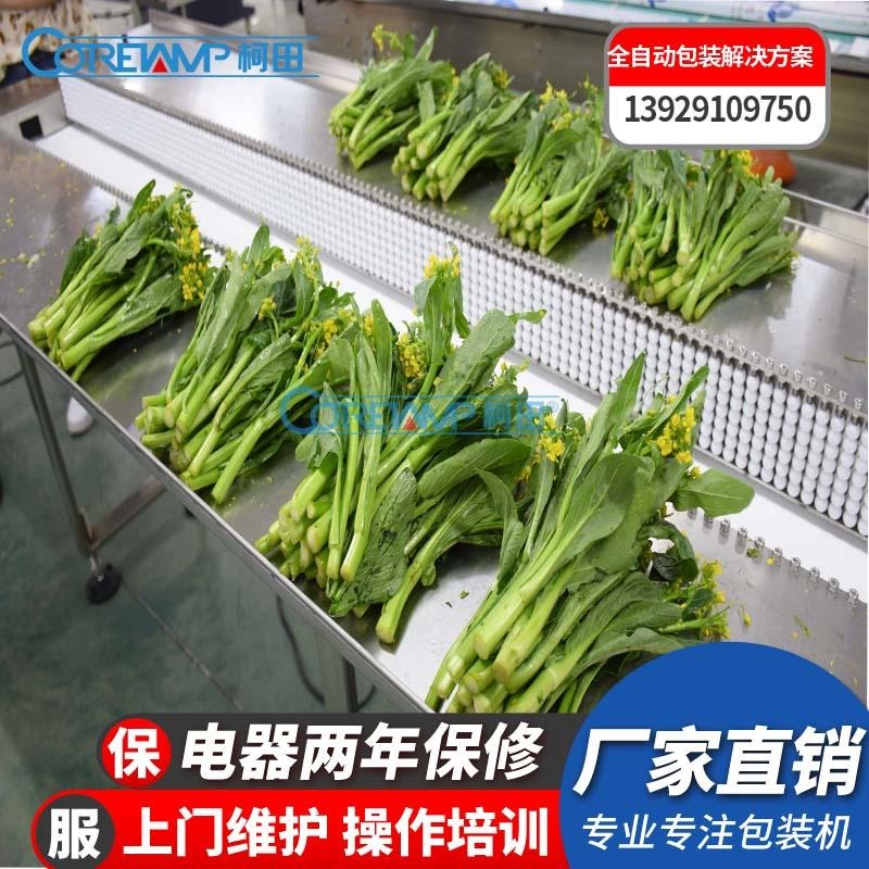 柯田订制VT-330X下走纸枕式蔬菜包装机  适用救心菜大蒜种子包装图片