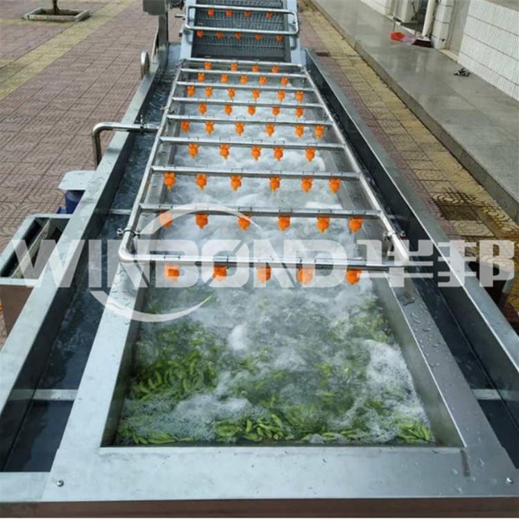 大型桑叶菜加工流水线 诸城桑叶菜生产机器 蛋白桑加工流水线图片