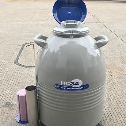 泰来华顿Worthington HC34大容量液氮罐 样品储存罐 生物储罐 低温 进口