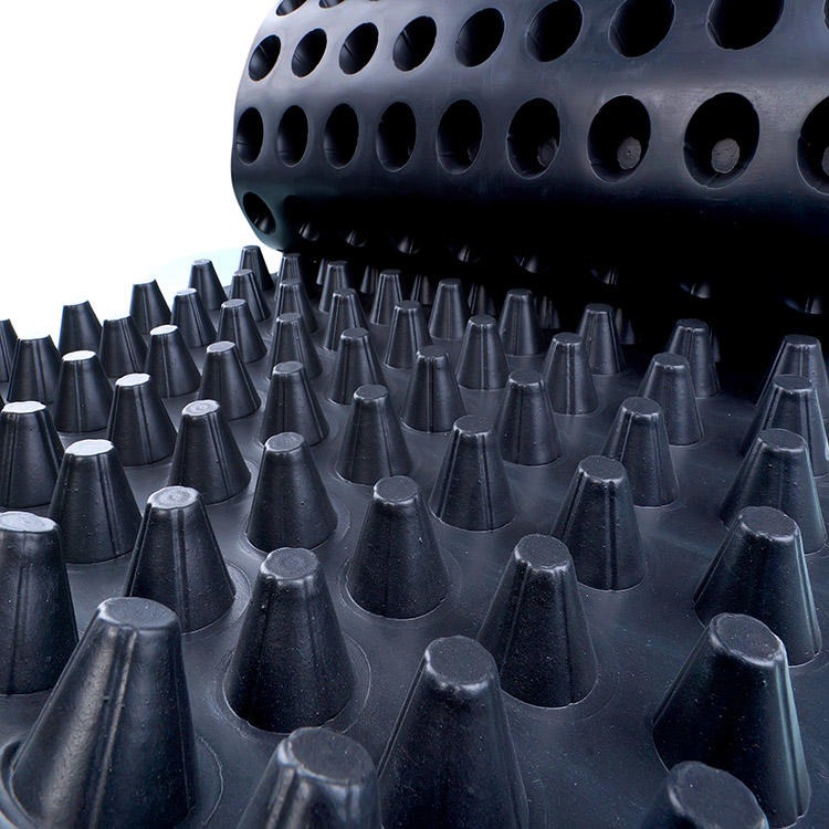高抗压塑料排水板价格 北京塑料凸片排水板 节省投资 一匡加工工厂图片