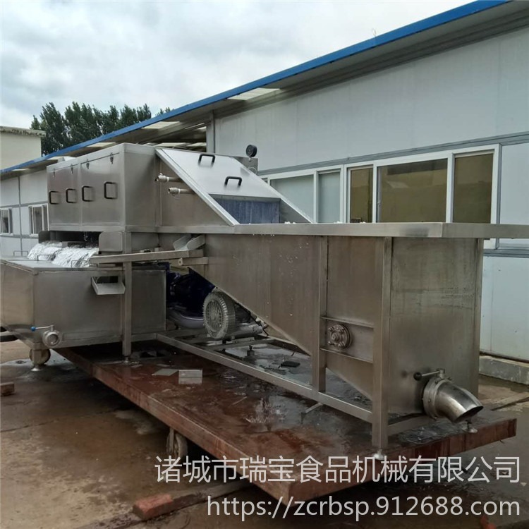 瑞宝 泰国南姜清洗机 XJ-11000型无损鲜姜清洗机 全自动洗姜机