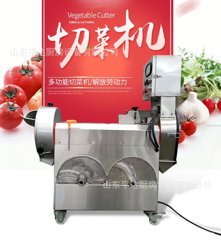 银鹰850型不锈钢多功能双头立式切菜机食堂果蔬加工常用切菜设备示例图1