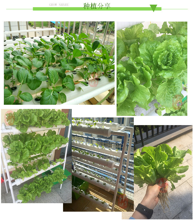 阳台无土栽培 单面四管水培设备 绿色蔬菜种植专用 全自动浇水示例图17
