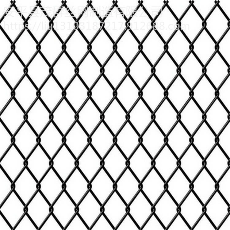 钛克网、 蜘蛛网、菱形钢丝网、缆钢丝绳网、高强度钢丝绳柔性网、菱形钢丝绳网、环形网、高强度钢丝格栅、茂群丝网 堤坡防护网