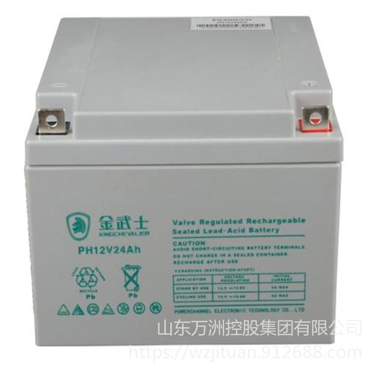 金武士蓄电池PH24-12 铅酸蓄电池12V24AH 直流屏EPS电源专用蓄电池 参数及价格