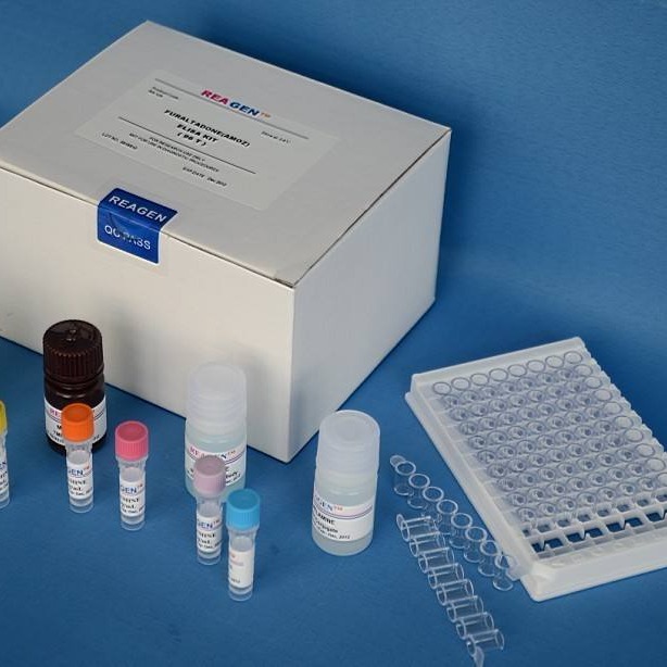 人抗蛋白酶3抗体IgG试剂盒 PR3 Ab-IgG试剂盒 抗蛋白酶3抗体IgGELISA试剂盒 厂家直销