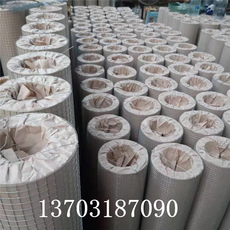 安平龙润生产优质钢丝网 镀锌电焊网 抹墙电焊网 直销