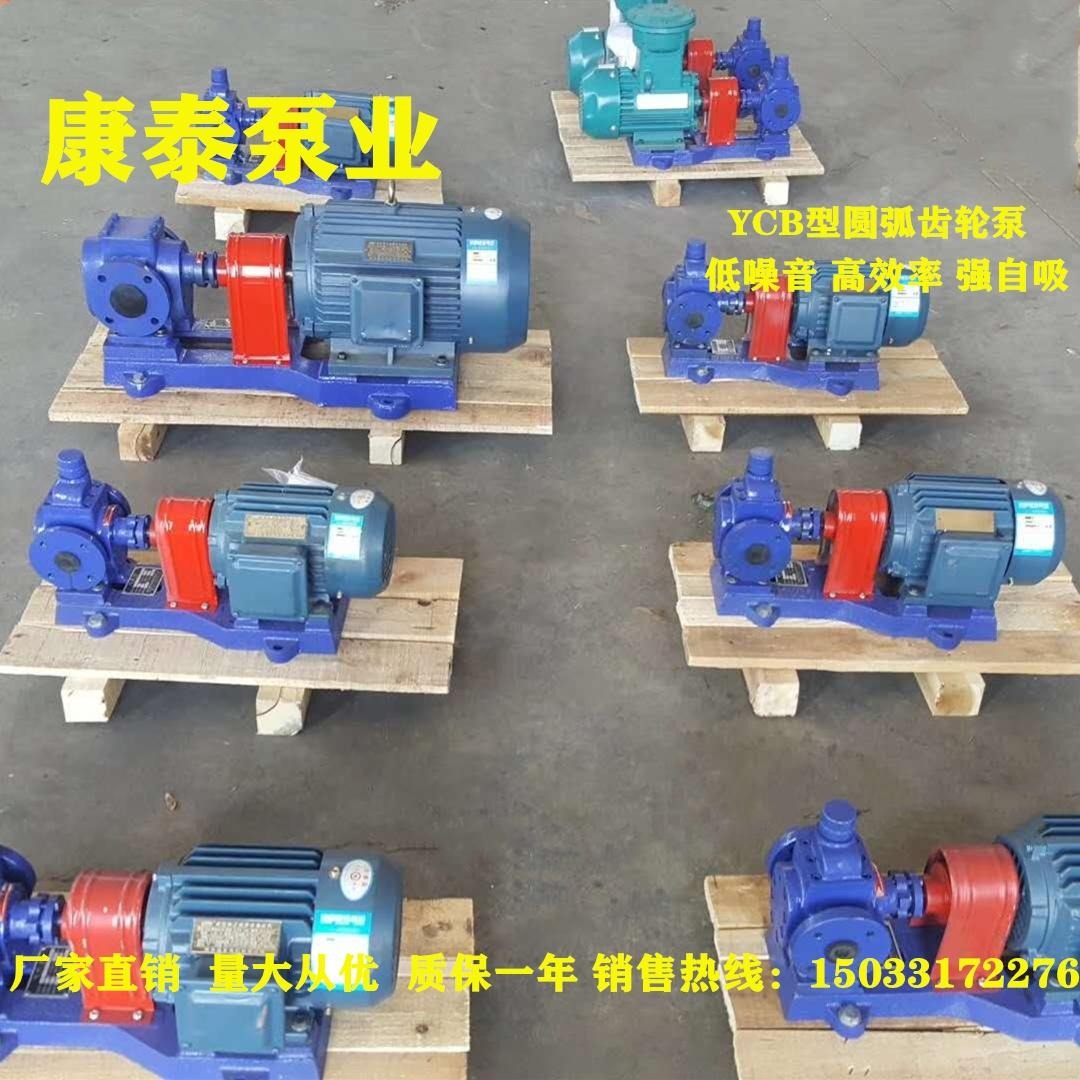 YCB4/0.6圆弧齿轮泵 齿轮油泵 滤油机润滑油泵