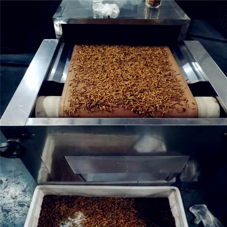 合适黑水虻干燥用的设备  干燥好得虫子膨化明显 容易磨粉
