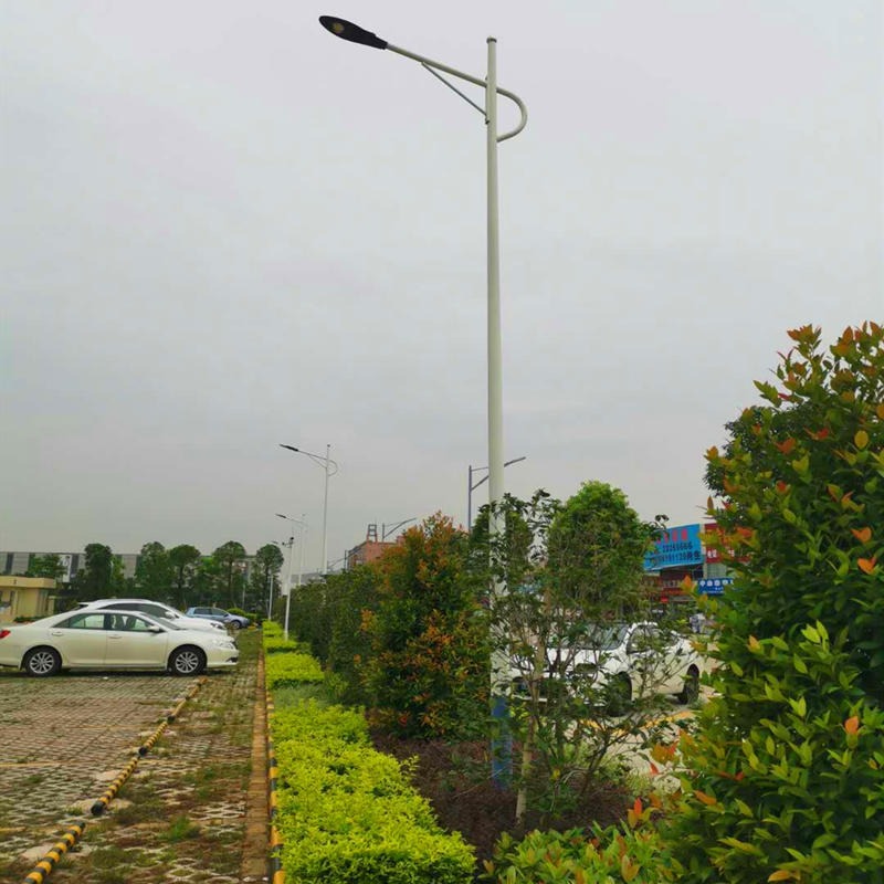 桂林小区照明灯杆 8米海螺臂太阳能路灯供应 广西路灯照明厂