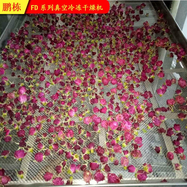 FD系列冷冻真空干燥机 桂花冷冻干燥设备 玫瑰花瓣冻干原理图片