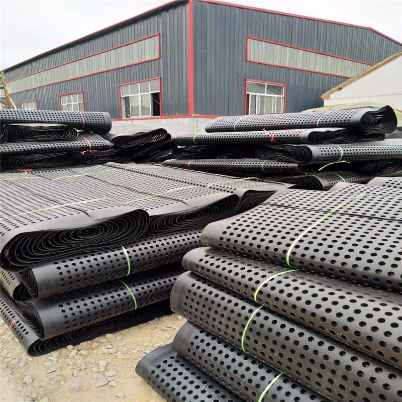 2公分排水板 绿标建材 塑料排水板 厂家批发