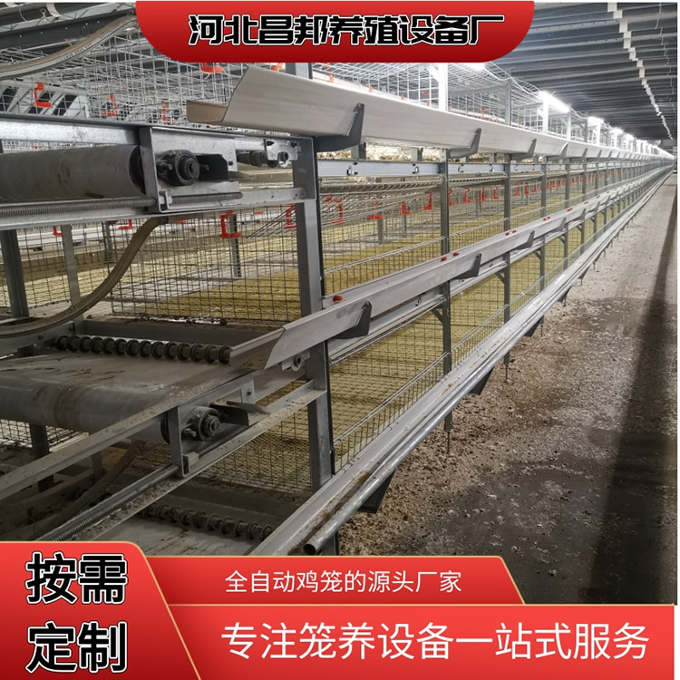 养殖鸡鸡笼 养殖肉鸡笼出售 昌邦 层叠肉鸡笼 厂家供应