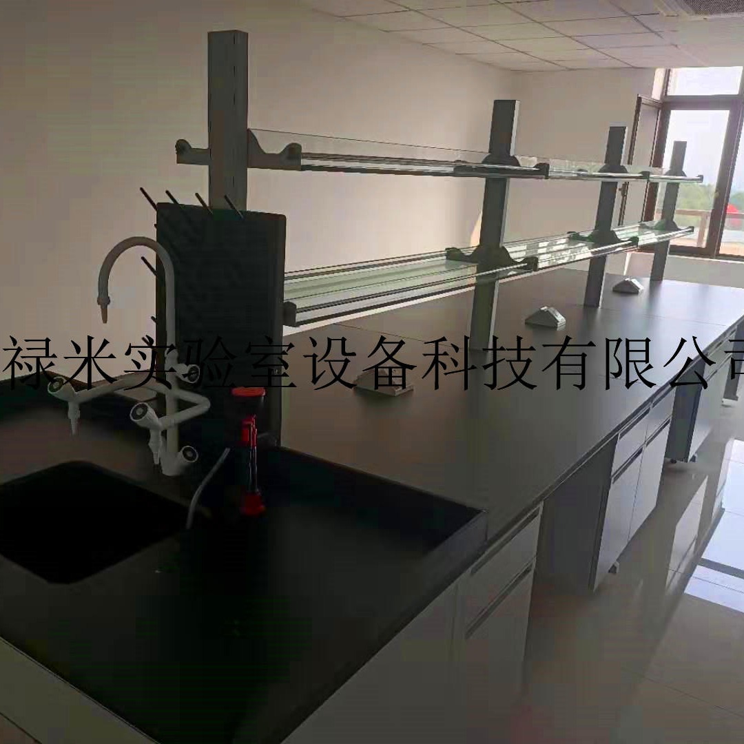 禄米实验室 成都钢木实验台生产厂家 四川优质办公家具实验桌柜定制   LUMI-SYT6742
