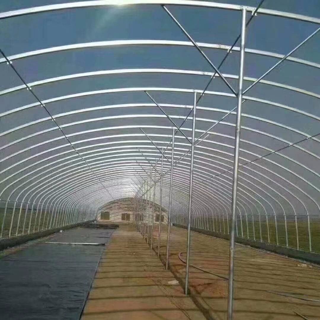 草莓大棚的建造厂家 宿迁钢架大棚厂 草莓种植大棚 3米宽跨度钢管温室