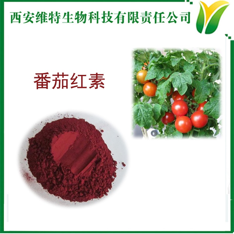 SC工厂供应番茄红素10% 番茄提取物 厂家现货西红柿红素示例图4